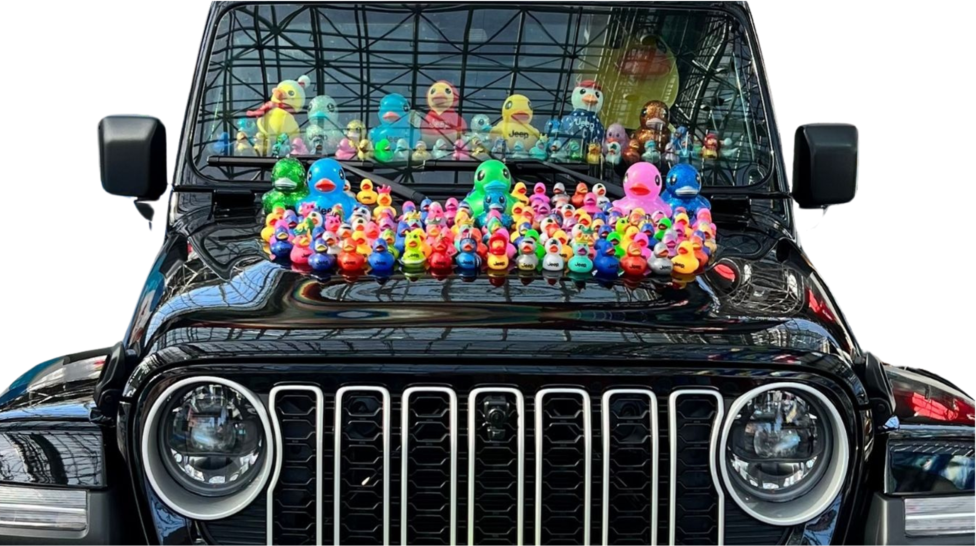Jeep branded collectible ducks on hood
